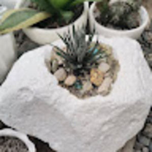 Meet your Posher, Nojnoj